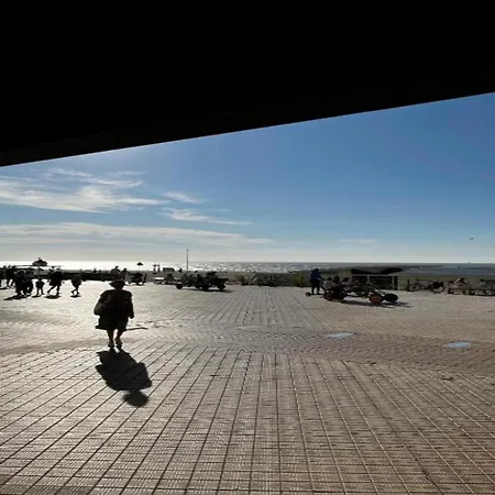 In Near The & Casino Appartement