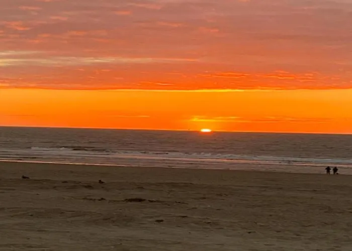 Apartment In Near The & Casino Ostend