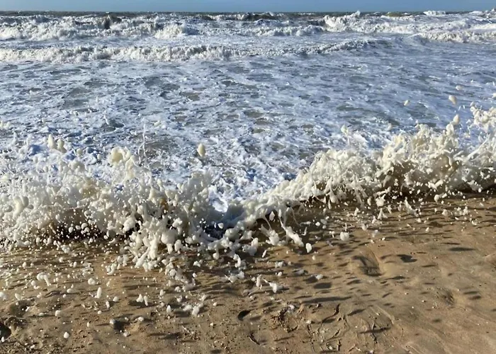 In Near The & Casino Apartment Ostend